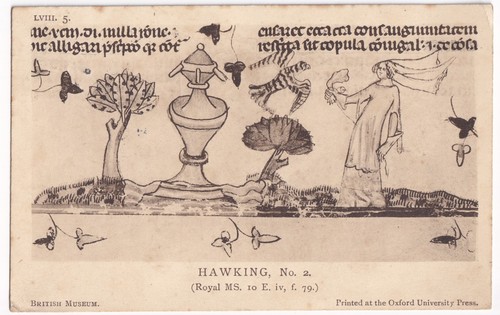 Hawking medieval manuscript - hawking,