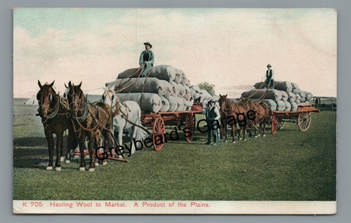 Horse drawn wagons - horse, farming