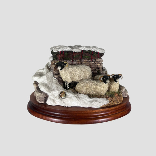 Winter shelter limited - limited, edition