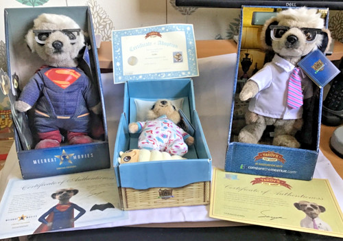 Compare the market meerkat - compare,