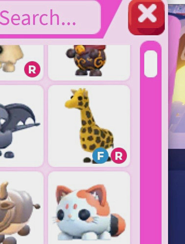 Giraffe - , (adopt