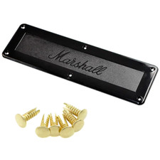 Marshall Speaker Receiver for