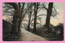 [3309] Devon Colored Postcard Churston Avenue And Church, Near Brixham