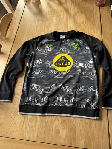 Norwich city match worn - norwich,