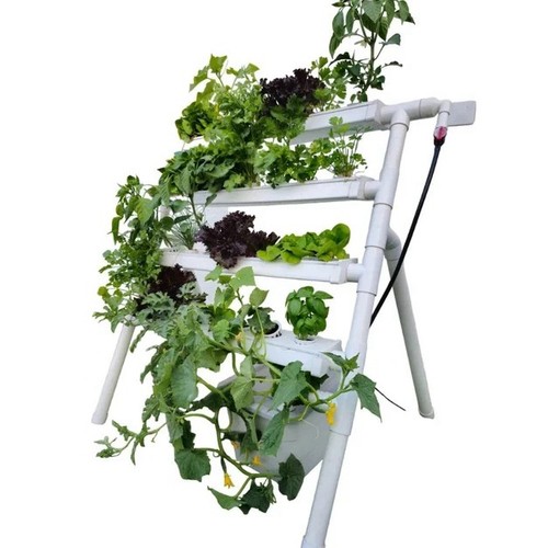 Homie home hydroponic - homie,