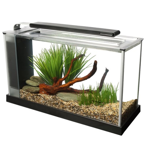 Fluval spec aquarium 10l - fluval, /