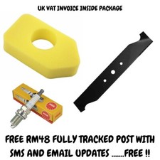 Hayter Spirit 41 Lawnmower