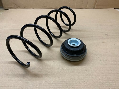 Front suspension coil spring - front,