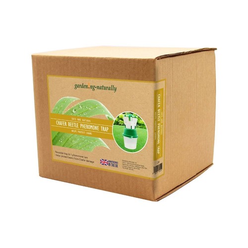 Chafer beetle trap lures - beetle,