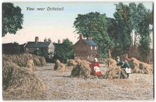 Coltishall Norfolk Cornfield Harvest Nr Norwich - 190? Friths Postcard Y04