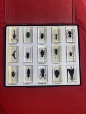 National Geographic Real life