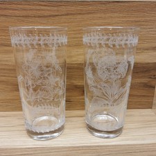 2 x Portmeirion Botanic Garden Large Tall Tumblers / Glasses- 15.5cm Tall
