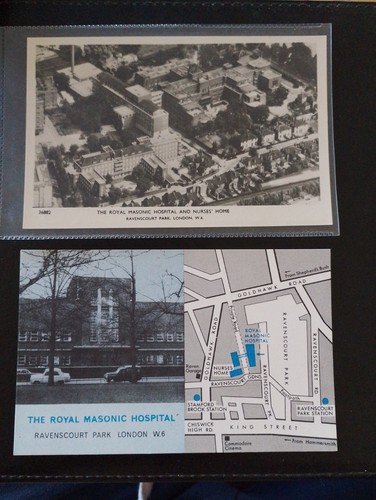 The royal masonic hospital - the,