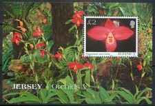 Jersey 2004 Orchids V 5th