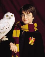 Iconic  Memorabilia Harry