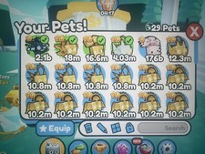 Roblox Pet Simulator X Bundle