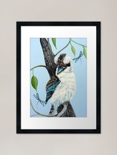 Kookaburra and Dragonfly