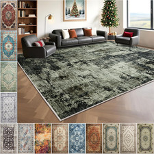 Area Rug for Living Room