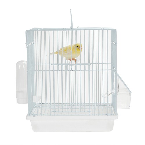 Sky pets mali small - pets,