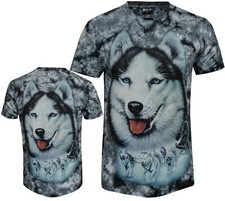 Siberian Husky Dog Arctic Snow