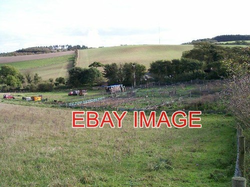 Photo pheasant rearing - , pens