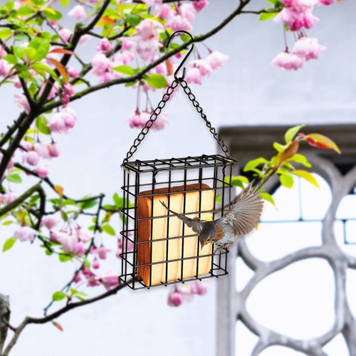 Bird suet cake feeder garden - bird,