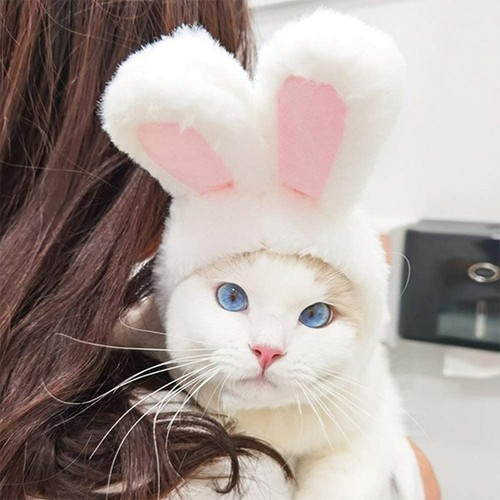 Cute costume bunny - costume, hat