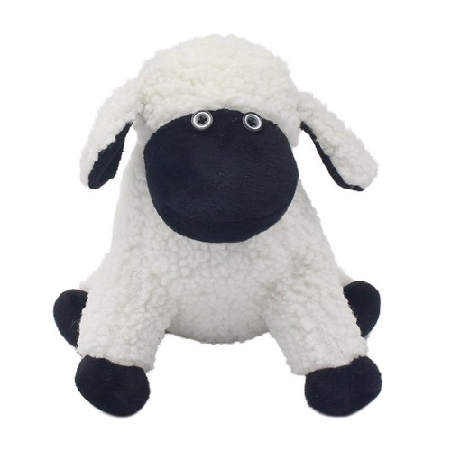 Lesser pavey sitting sheep - lesser,