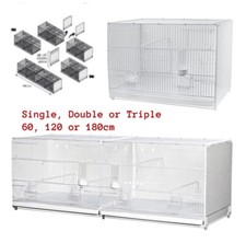 120 180cm finch canary - 120, /