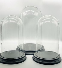 Set of 3 Glass Dome Cover Cloche Display With Black Wooden Base