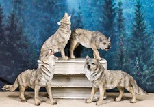 Set Of 4 Mystical Forest