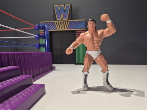 Wcw galoob tom - tom, vintage