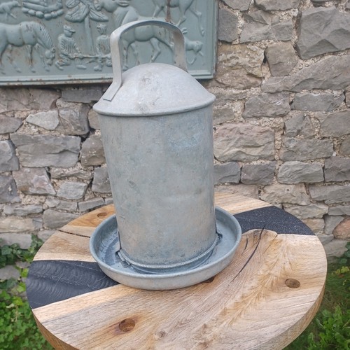 Poultry water drinker - poultry,