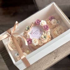 Clear Lid Bento + 4 Cupcake Box