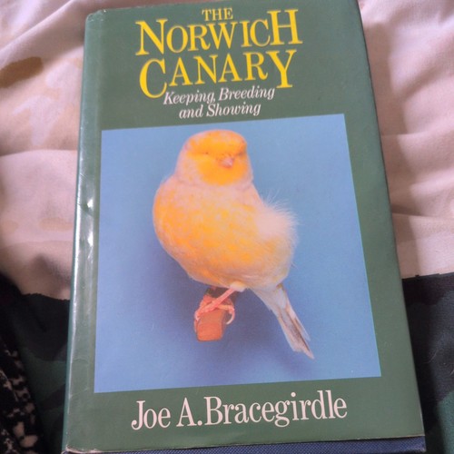 The norwich canary joe - the,