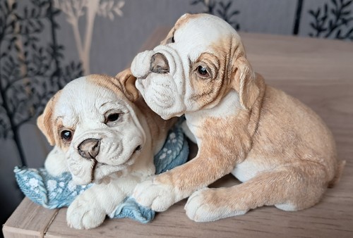 Country artists bulldogs - country,