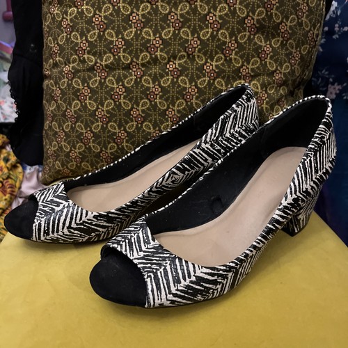 Collection insolia zebra - collection,
