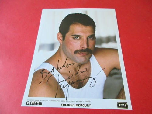 Queen freddie mercury 10x8 - freddie,