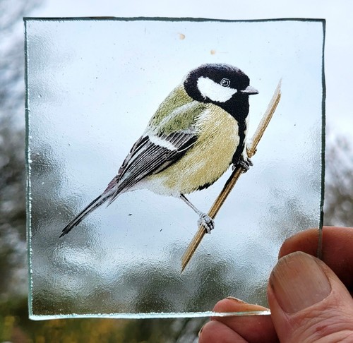 Stained glass great tit bird - stained,