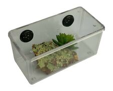 TARANTULA INSECT REPTILE MINI VIVARIUM/TANK/CAGE, BACK VENTED
