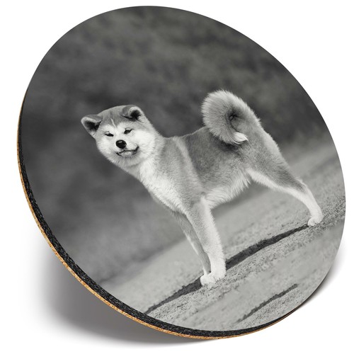 Round single coaster - -,
