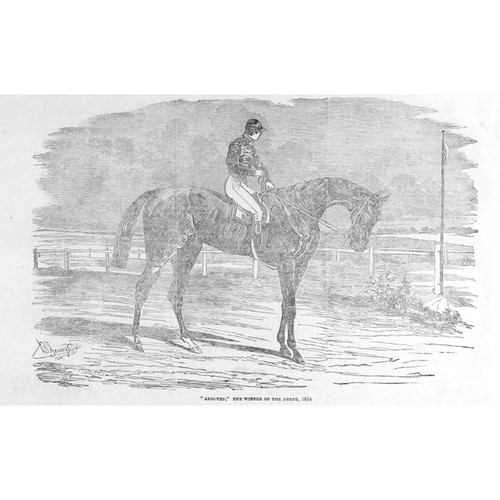 Horse racing andover - horse, the