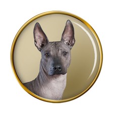 Mexican Hairless Dog Lapel Pin