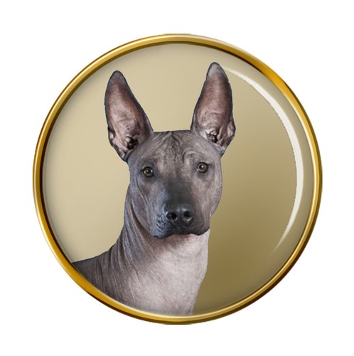 Mexican hairless dog lapel pin - mexican,