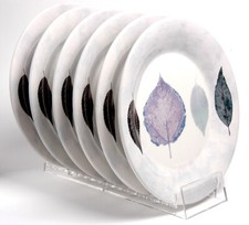 Plate Rack Clear Acrylic