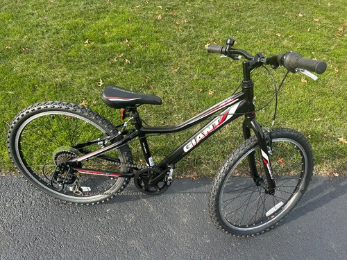 Giant revel mountain bike - mountain, 24"