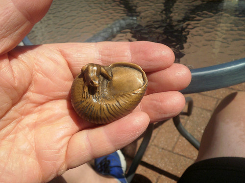 Hand carved wood netsuke - hand,