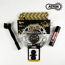 AFAM X-ring Gold Chain &