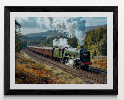 Steam train framed canvas - train,