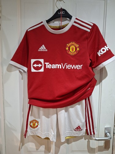 Manchester united shorts - shorts, and
